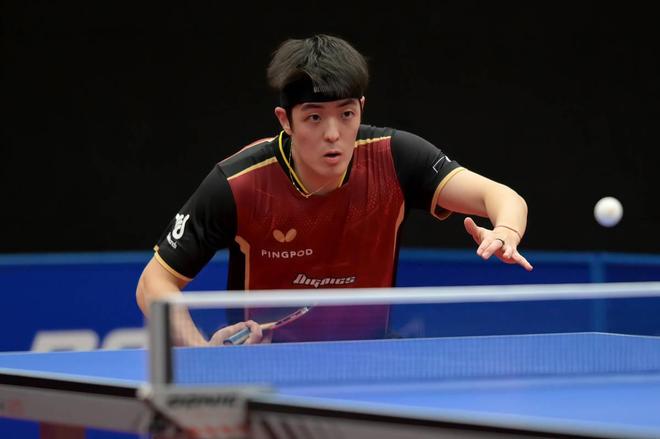 8个百分点 8个百分点