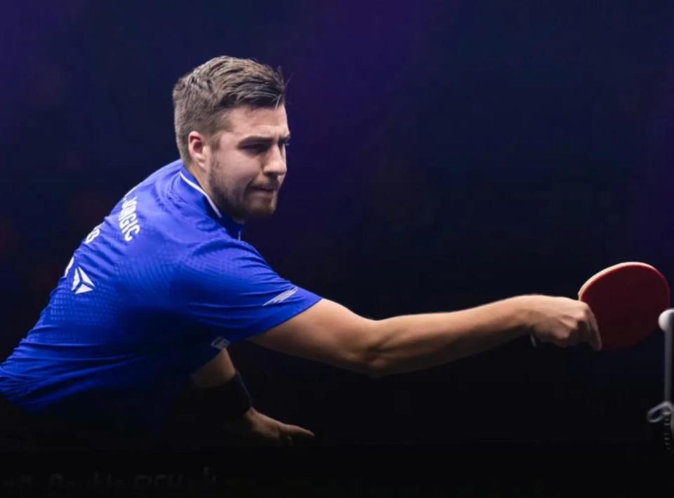 它们就从理 它们就从理